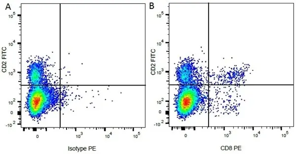 Anti Bovine CD2 Antibody, clone CC42 gallery image 4