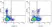 Anti Bovine CD2 Antibody, clone CC42 thumbnail image 5