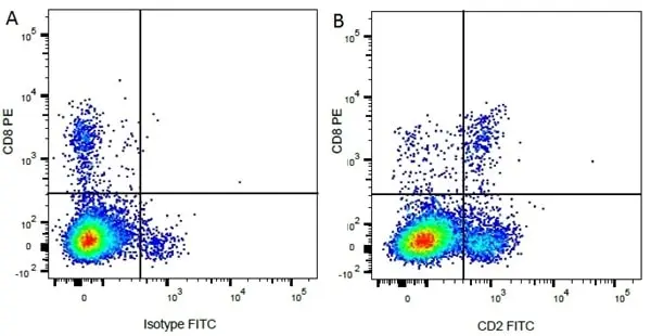 Anti Bovine CD2 Antibody, clone CC42 gallery image 5