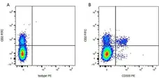 Anti Bovine CD2 Antibody, clone CC42 gallery image 7