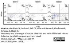 Anti Bovine CD2 Antibody, clone CC42 gallery image 9