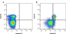 Anti Bovine CD205 Antibody, clone IL-A114 gallery image 1