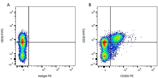 Anti Bovine CD205 Antibody, clone IL-A114 gallery image 2
