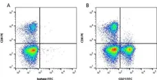 Anti Bovine CD21 Antibody, clone CC21 gallery image 2