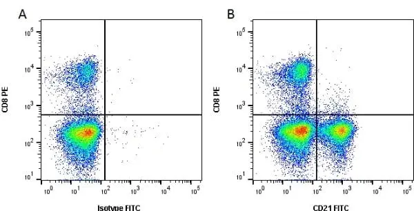 Anti Bovine CD21 Antibody, clone CC21 gallery image 2