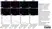 Anti Bovine CD21 Antibody, clone CC21 thumbnail image 3