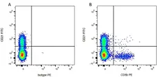 Anti Bovine CD21 Antibody, clone CC51 gallery image 5