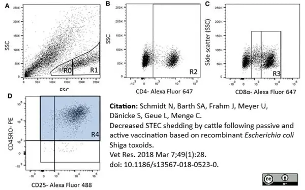 Anti Bovine CD25 Antibody, clone IL-A111 gallery image 4