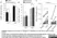 Anti Bovine CD28 Antibody, clone CC220 thumbnail image 2