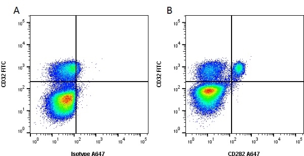 Anti Bovine CD282 Antibody, clone AbD12542 gallery image 1