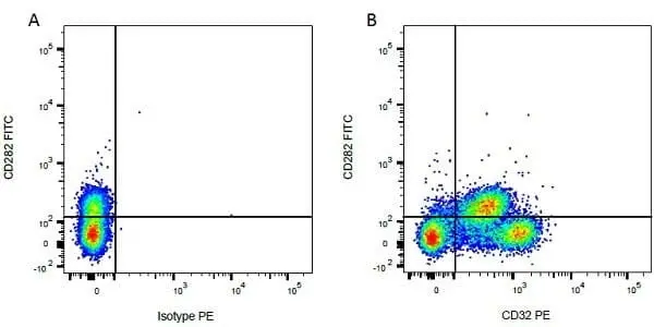 Anti Bovine CD282 Antibody, clone AbD12542 gallery image 2