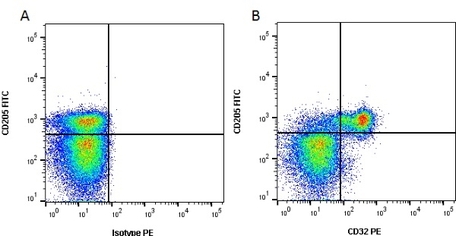 Anti Bovine CD32 Antibody, clone CCG36 | Bio-Rad