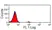 Anti Bovine CD335 Antibody, clone AKS1 thumbnail image 2