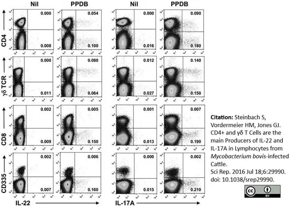 Anti Bovine CD335 Antibody, clone AKS1 gallery image 7
