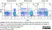 Anti Bovine CD335 Antibody, clone AKS1 thumbnail image 8