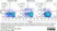 Anti Bovine CD335 Antibody, clone AKS1 thumbnail image 9