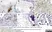 Anti Bovine CD4 Antibody, clone CC30 thumbnail image 3