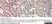Anti Bovine CD4 Antibody, clone CC30 thumbnail image 4