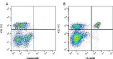 Anti Bovine CD4 Antibody, clone CC8 gallery image 1