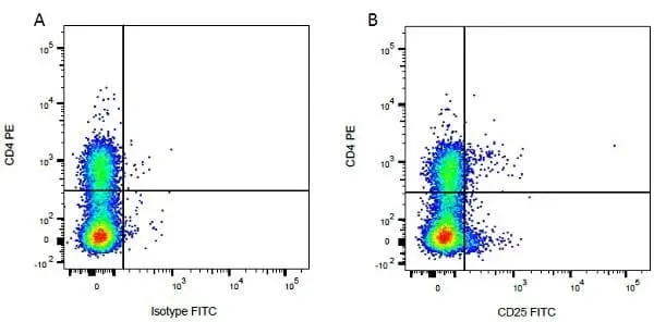 Anti Bovine CD4 Antibody, clone CC8 gallery image 11