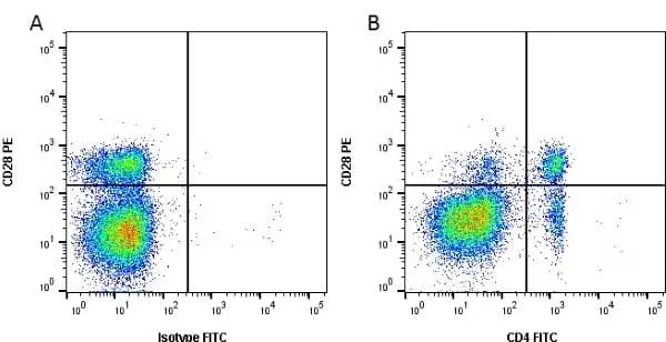 Anti Bovine CD4 Antibody, clone CC8 gallery image 12