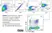 Anti Bovine CD4 Antibody, clone CC8 thumbnail image 14