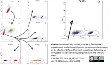Anti Bovine CD4 Antibody, clone CC8 gallery image 19