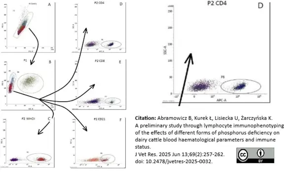 Anti Bovine CD4 Antibody, clone CC8 gallery image 19