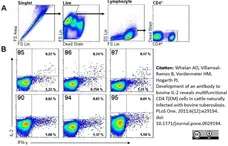 Anti Bovine CD4 Antibody, clone CC8 gallery image 3