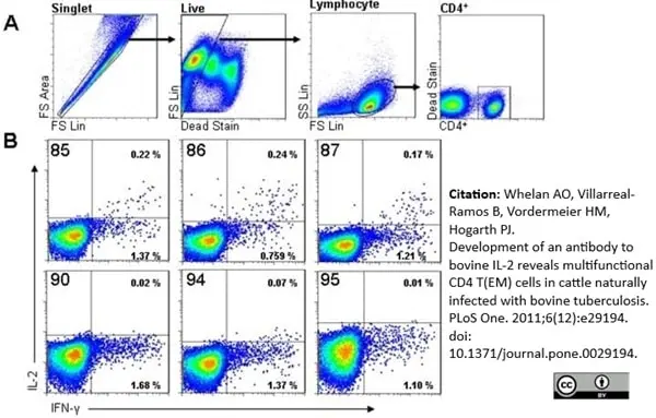 Anti Bovine CD4 Antibody, clone CC8 gallery image 3