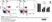 Anti Bovine CD4 Antibody, clone CC8 thumbnail image 5