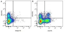 Anti Bovine CD4 Antibody, clone CC8 gallery image 6