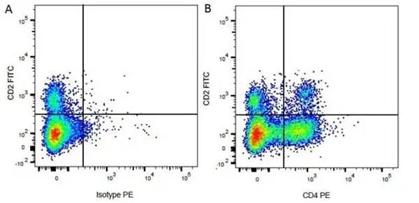 Anti Bovine CD4 Antibody, clone CC8 gallery image 6