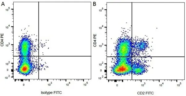 Anti Bovine CD4 Antibody, clone CC8 gallery image 7