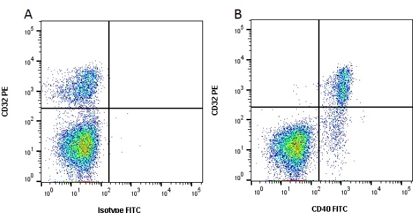 Anti Bovine CD40 Antibody, clone IL-A156 gallery image 1