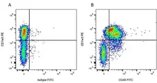 Anti Bovine CD40 Antibody, clone IL-A156 gallery image 3