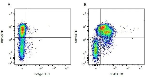 Anti Bovine CD40 Antibody, clone IL-A156 gallery image 3