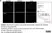 Anti Bovine CD44 Antibody, clone IL-A118 thumbnail image 7