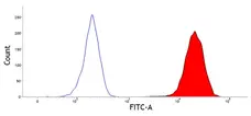 Anti Bovine CD45 Antibody, clone CC1 gallery image 1