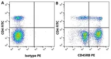 Anti Bovine CD45RB Antibody, clone CC76 gallery image 1