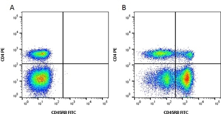 Anti Bovine CD45RB Antibody, clone CC76 | Bio-Rad