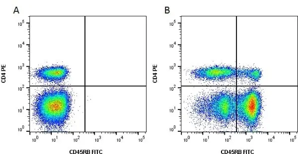 Anti Bovine CD45RB Antibody, clone CC76 gallery image 2