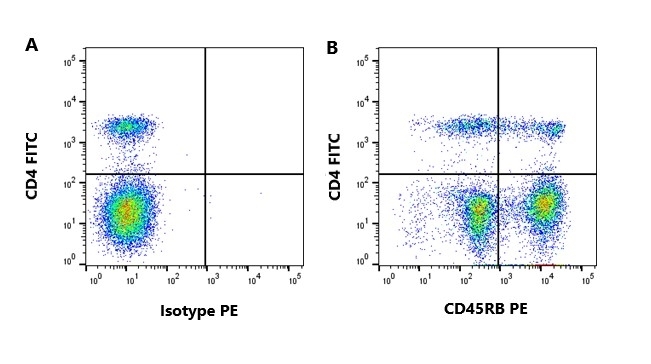 Anti Bovine CD45RB Antibody, clone CC76 gallery image 2