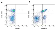Anti Bovine CD45RO Antibody, clone IL-A116 gallery image 2