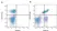 Anti Bovine CD45RO Antibody, clone IL-A116 thumbnail image 2