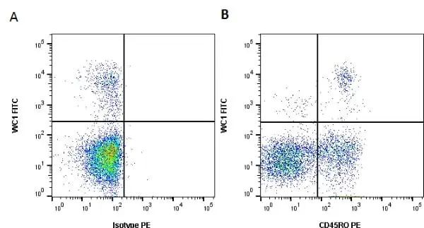 Anti Bovine CD45RO Antibody, clone IL-A116 gallery image 3