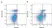Anti Bovine CD45RO Antibody, clone IL-A116 thumbnail image 4