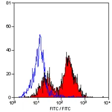 Anti Bovine CD5 Antibody, clone CC17 gallery image 1