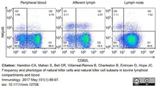 Anti Bovine CD62L Antibody, clone CC32 gallery image 5