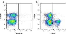 Anti Bovine CD8 Antibody, clone CC63 gallery image 1